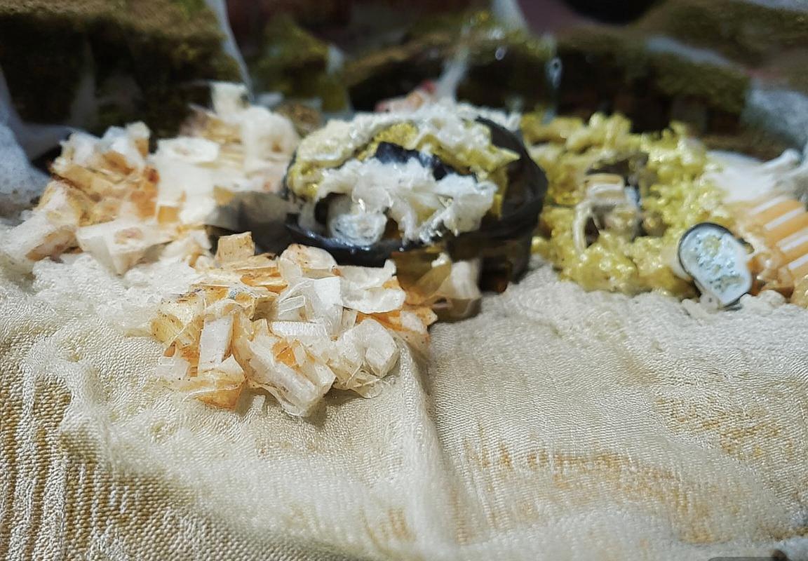 弗拉霍维奇：从青训营到豪门球星的成长之路